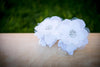 Angel Eyes Toe Blooms - Lil FashionAva 