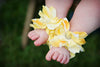 Sunbeam Toe Blooms - Lil FashionAva 